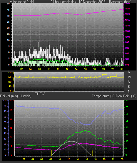 24 Hour Graph for Day 10