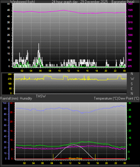 24 Hour Graph for Day 29