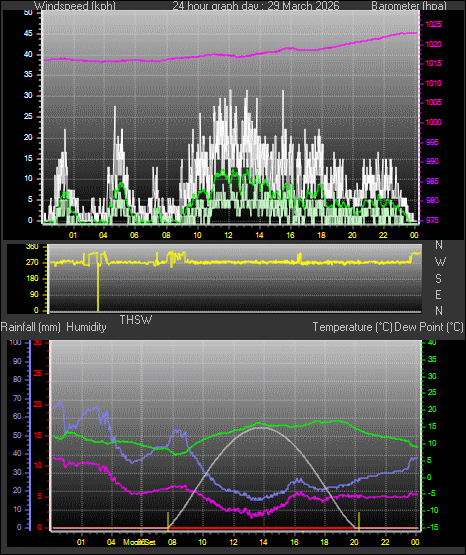 24 Hour Graph for Day 29