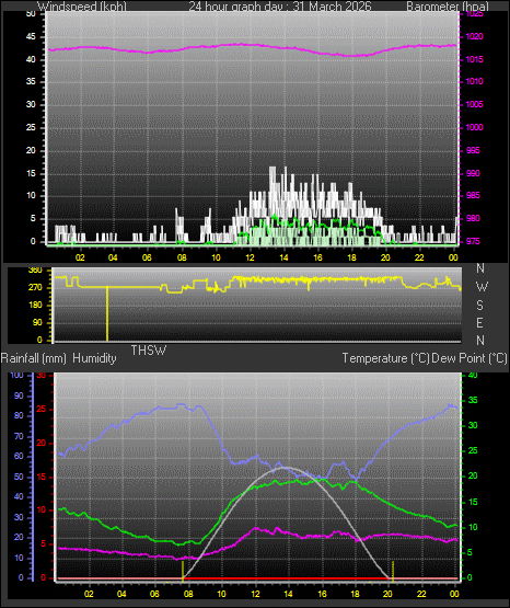 24 Hour Graph for Day 31