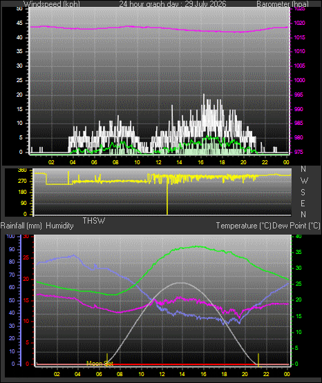 24 Hour Graph for Day 29