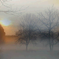 Mist, Cubierto Mist, Cubierto