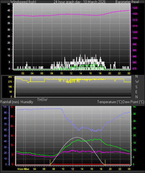 24 Hour Graph for Day 10